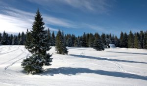 Beskydy – pravá česká dovolená v přírodě