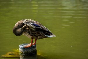 Luhačovická přehrada – skvělé místo pro aktivní odpočinek i rekreaci