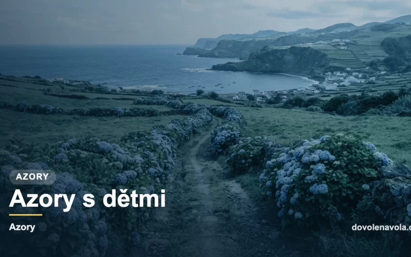 Azory s dětmi, náhledová karta