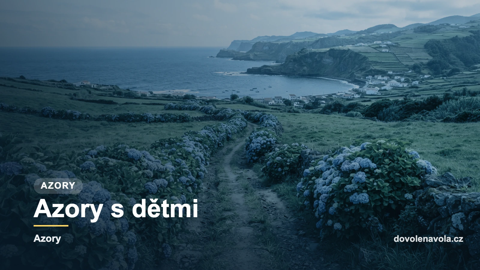 Azory s dětmi, náhledová karta