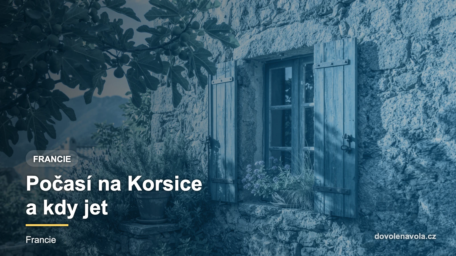 Sluncem prohřátá kamenná zeď korsické vesnice s kvetoucí macchií