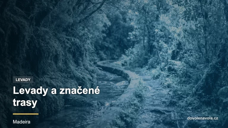 Detail úzkého vodního kanálu levady vedoucího mechovým vavřínovým lesem