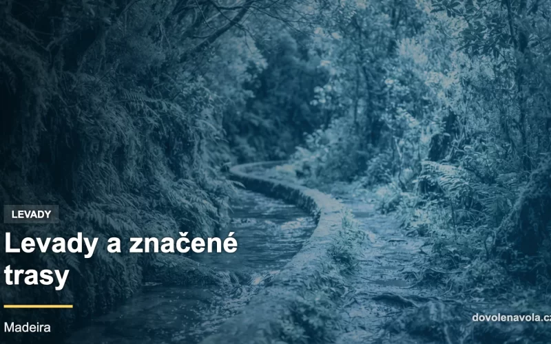 Detail úzkého vodního kanálu levady vedoucího mechovým vavřínovým lesem