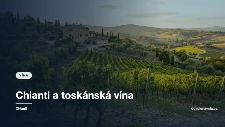 Vinice na toskánském svahu s kamenným vinařstvím