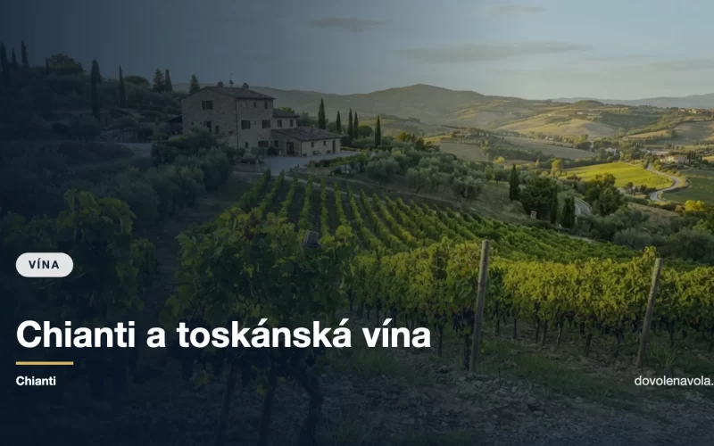 Vinice na toskánském svahu s kamenným vinařstvím
