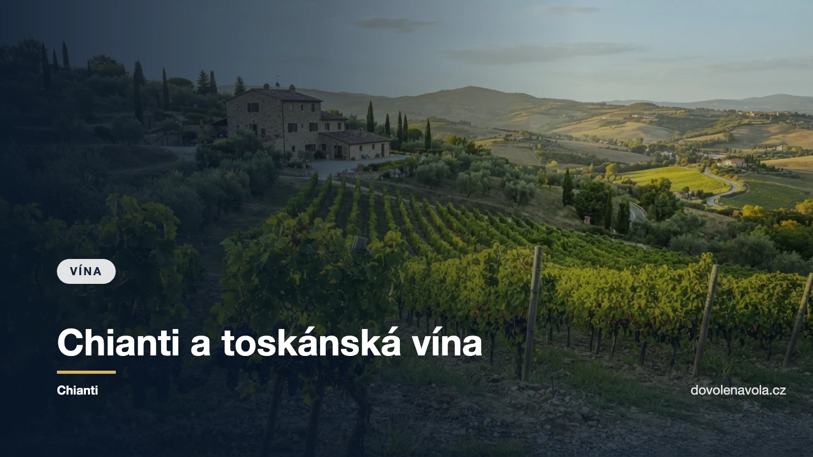 Vinice na toskánském svahu s kamenným vinařstvím