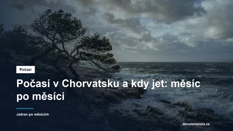 Vetrem cesane borovice nad Jadranem