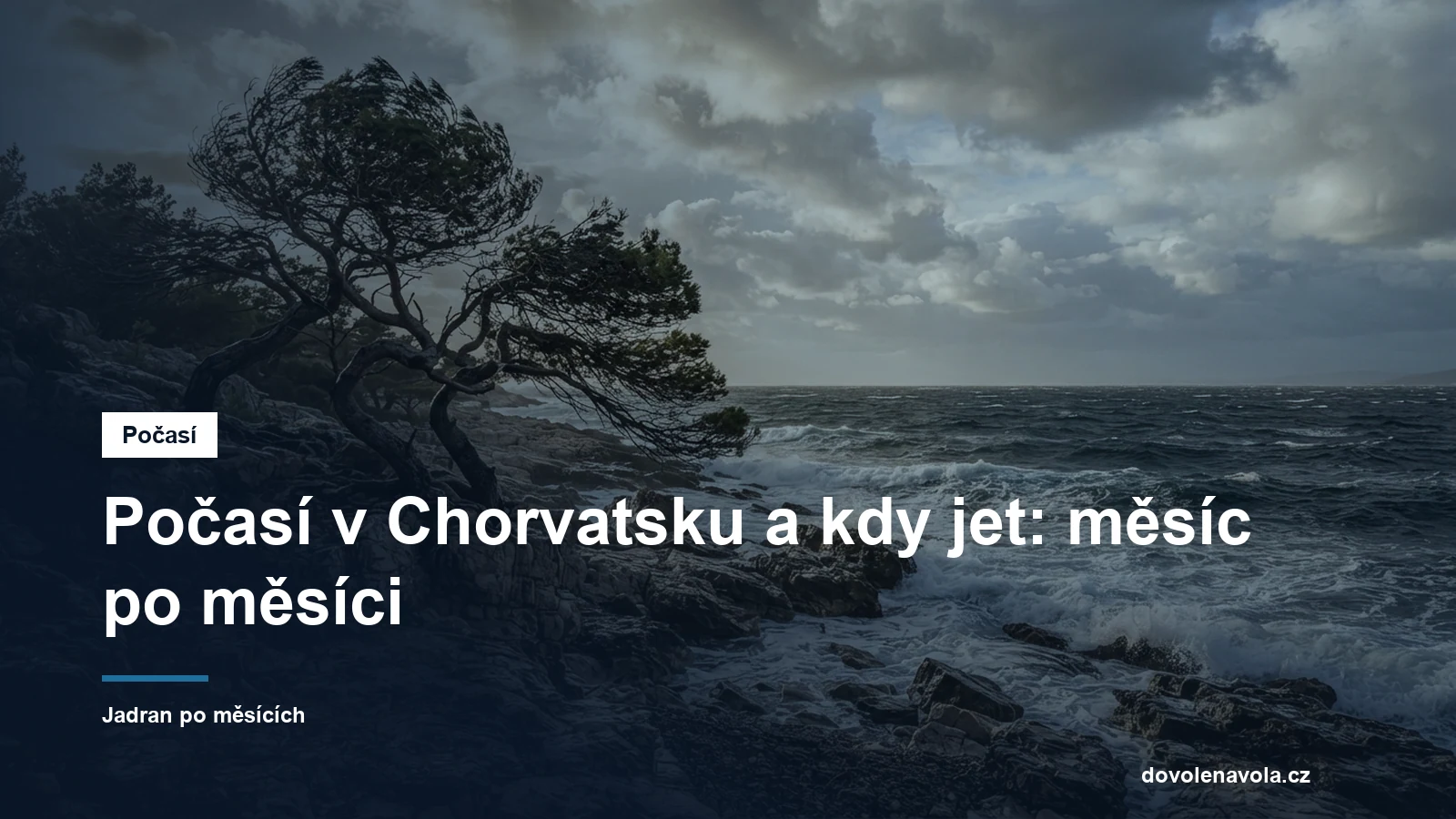 Vetrem cesane borovice nad Jadranem