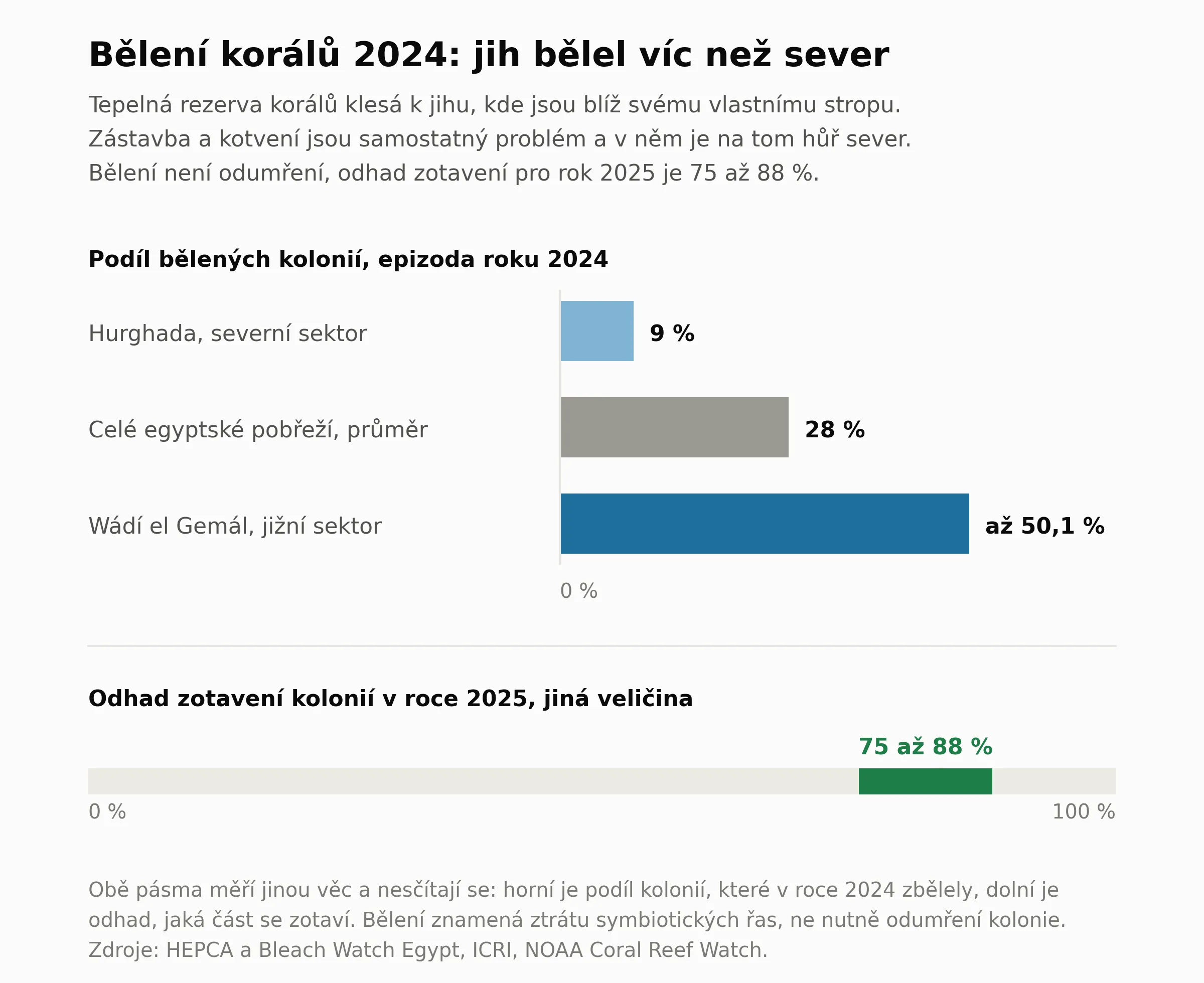 Sloupcovy graf podilu belenych koralovych kolonii pri epizode roku 2024 na egyptskem pobrezi Rudeho more. Severni sektor u Hurghady 9 procent, prumer celeho pobrezi 28 procent, jizni sektor ve Wadi el Gemal az 50,1 procenta. Pod grafem je pasmo odhadovaneho zotaveni kolonii v roce 2025, tedy 75 az 88 procent, coz je jina velicina. Z obrazku plyne, ze jih belel vyrazne vic nez sever, protoze tepelna rezerva koralu klesa smerem k jihu, a ze vetsina kolonii se podle odhadu zotavuje.