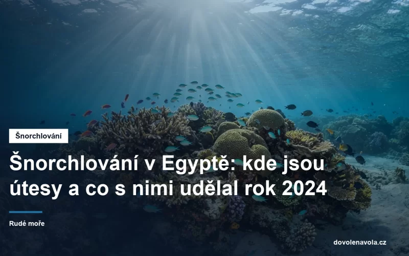 Koralove kolonie v melke vode Rudeho more