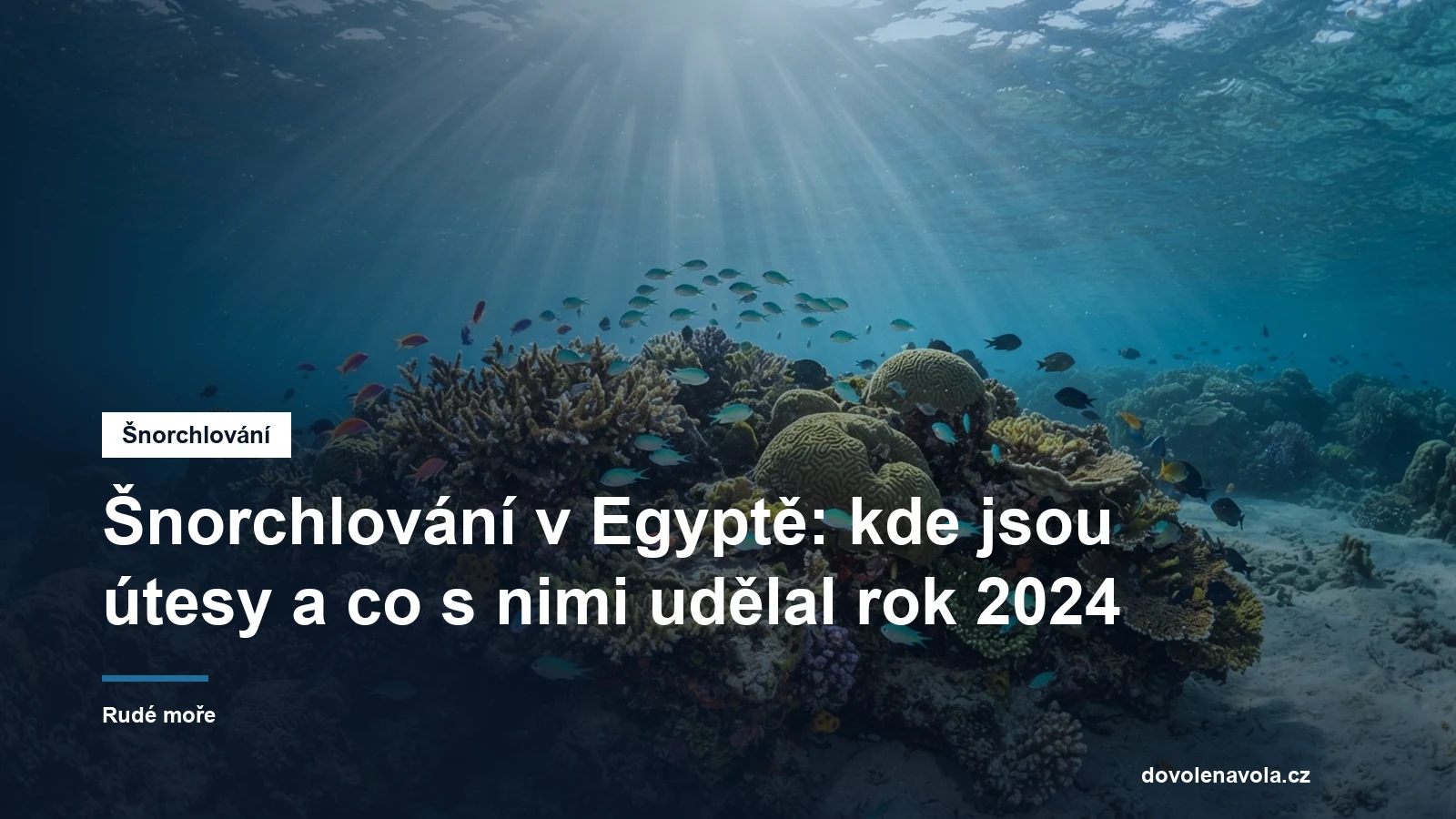 Koralove kolonie v melke vode Rudeho more