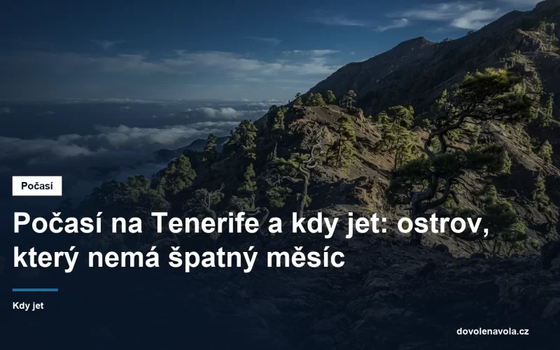 Vetrem cesane borovice na sopecnem svahu