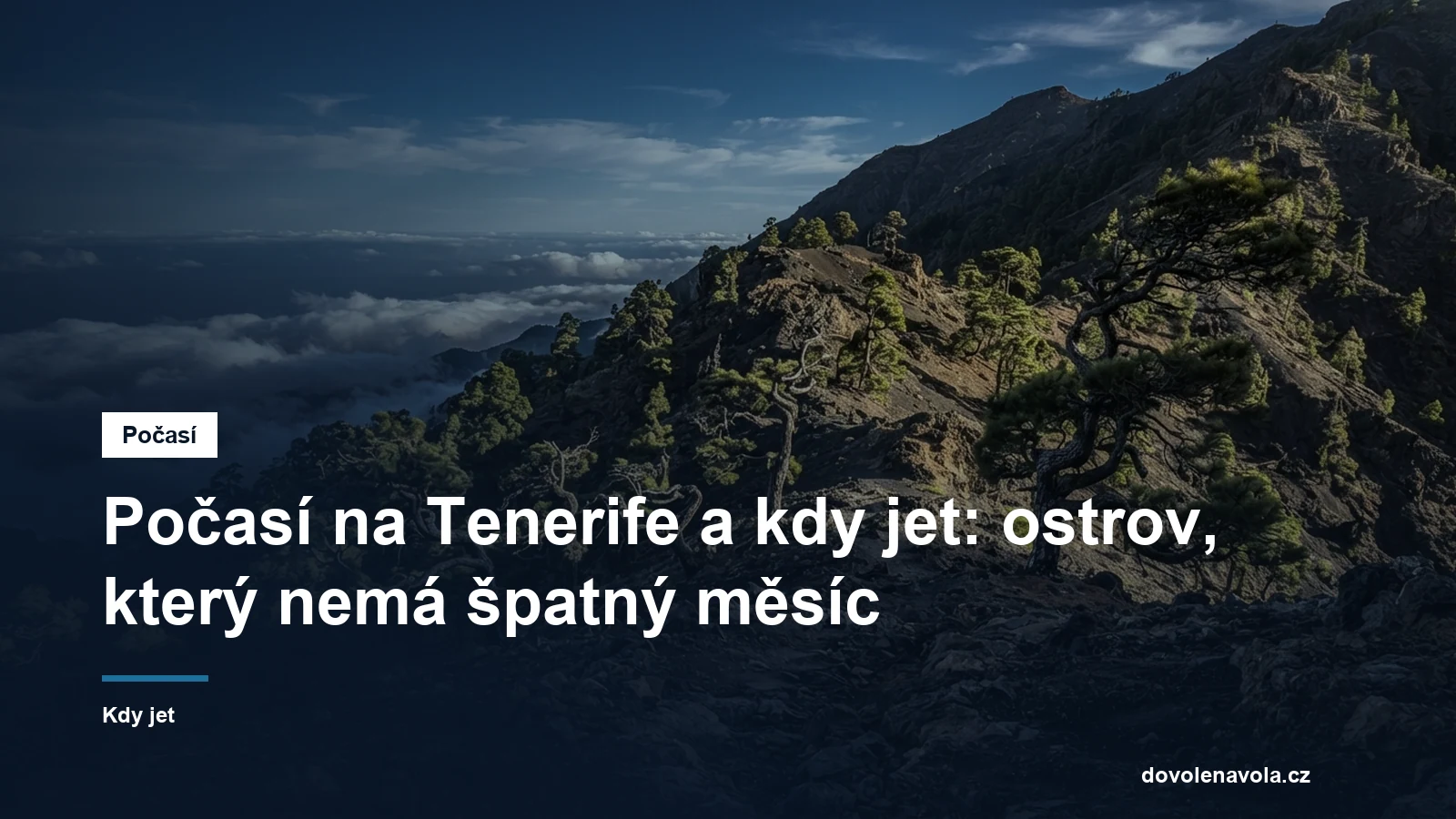 Vetrem cesane borovice na sopecnem svahu