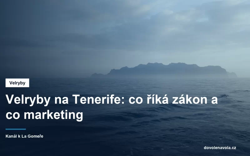 Klidna hladina oceanu s hrbetni ploutvi v dalce