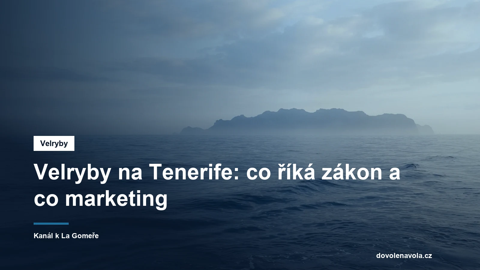 Klidna hladina oceanu s hrbetni ploutvi v dalce
