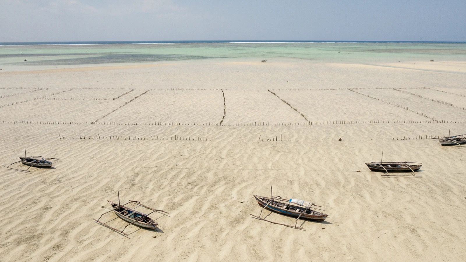 Pláž na východním pobřeží Zanzibaru při odlivu s mělčinami a zahrádkami mořských řas